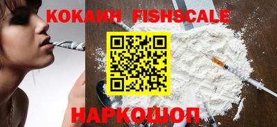 шишки Новокубанск